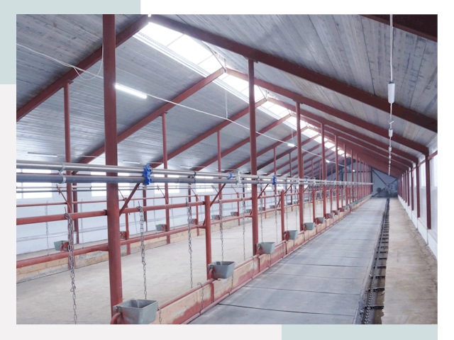 Строительство коровников в Заинске от 610 руб.