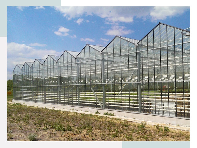 Строительство теплиц в Заинск от 610 руб. за м²