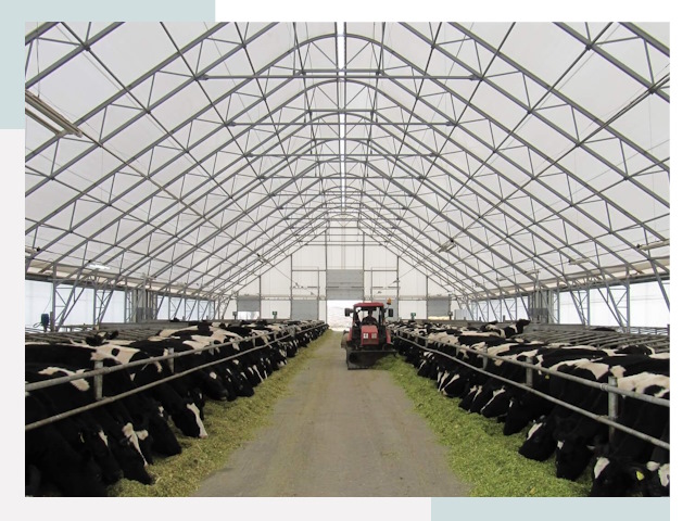 Тентовые коровники в Заинске от 610 руб. - Надежно и доступно